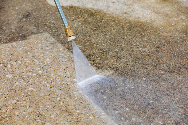 Best Restaurant Pressure Washing  in Penitas, TX