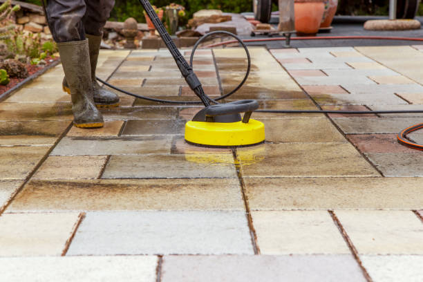 Reliable Penitas, TX Pressure Washing Services Solutions